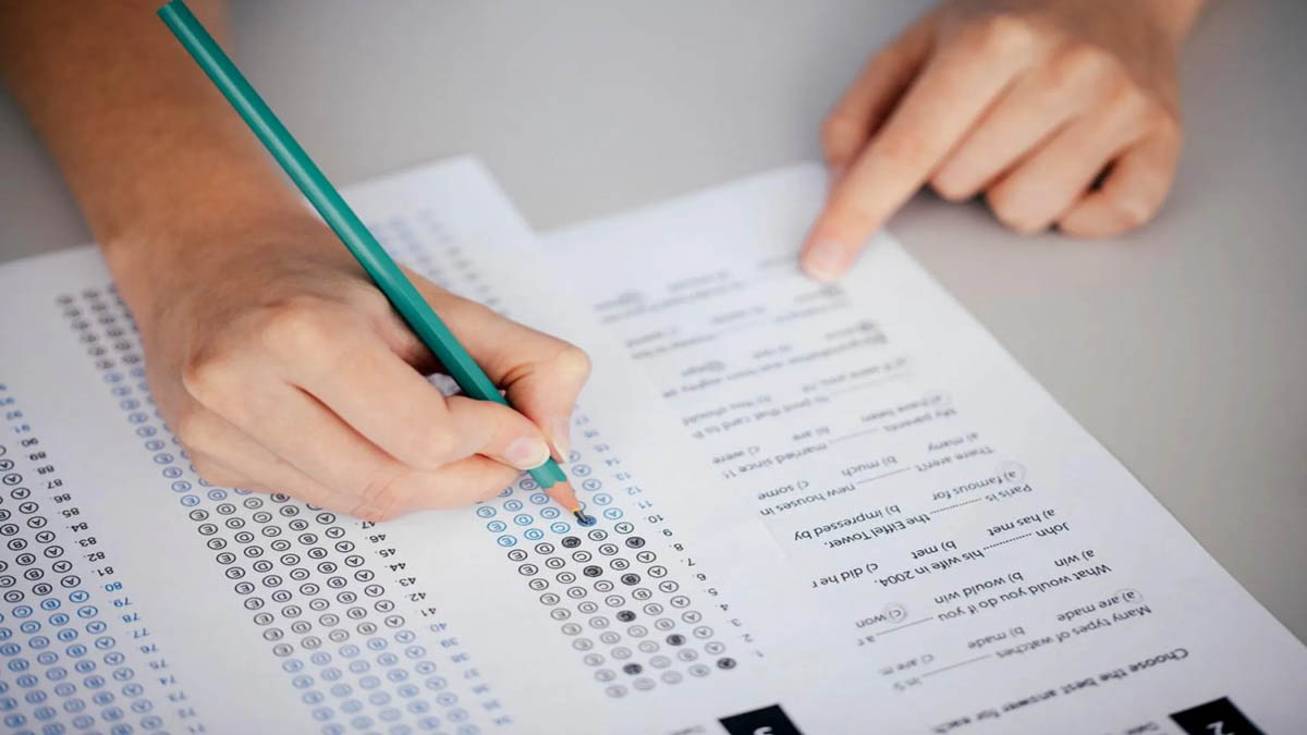 Curso completo examinador de tráfico